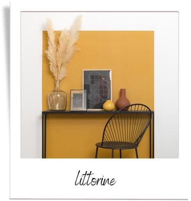 Transformez votre intérieur aux couleurs automnales | Astuces et tendance Colibri 2022-2023, Littorine