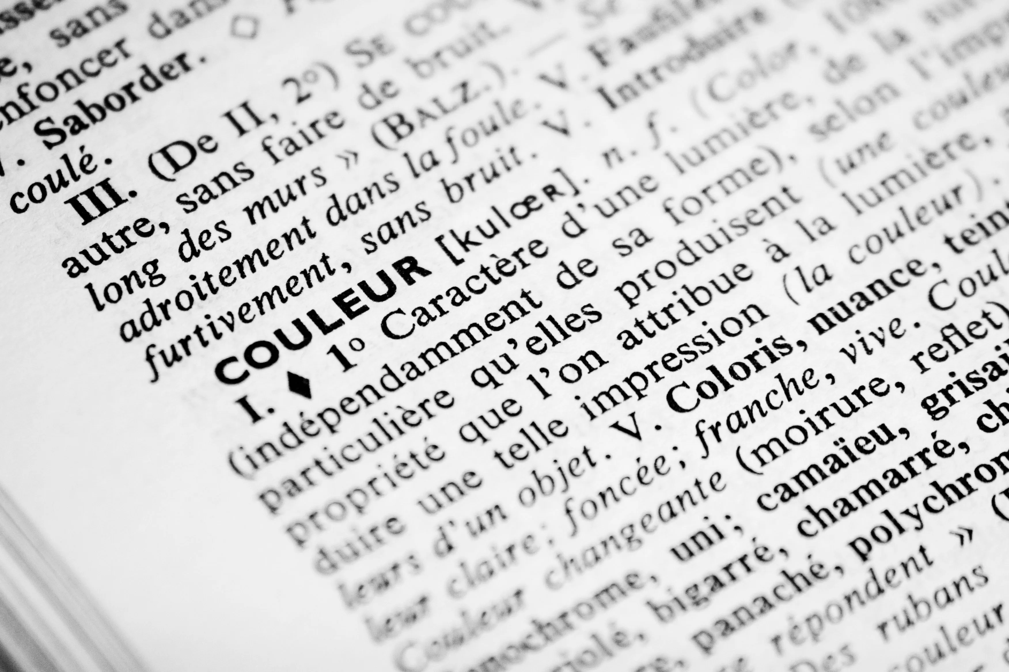Lexique colibri : tout savoir sur le vocabulaire du peintre / de la peinture !