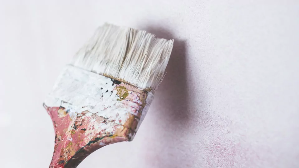 Que faire de son matériel et de ses outils à la fin des travaux de peinture assainissante biosourcée